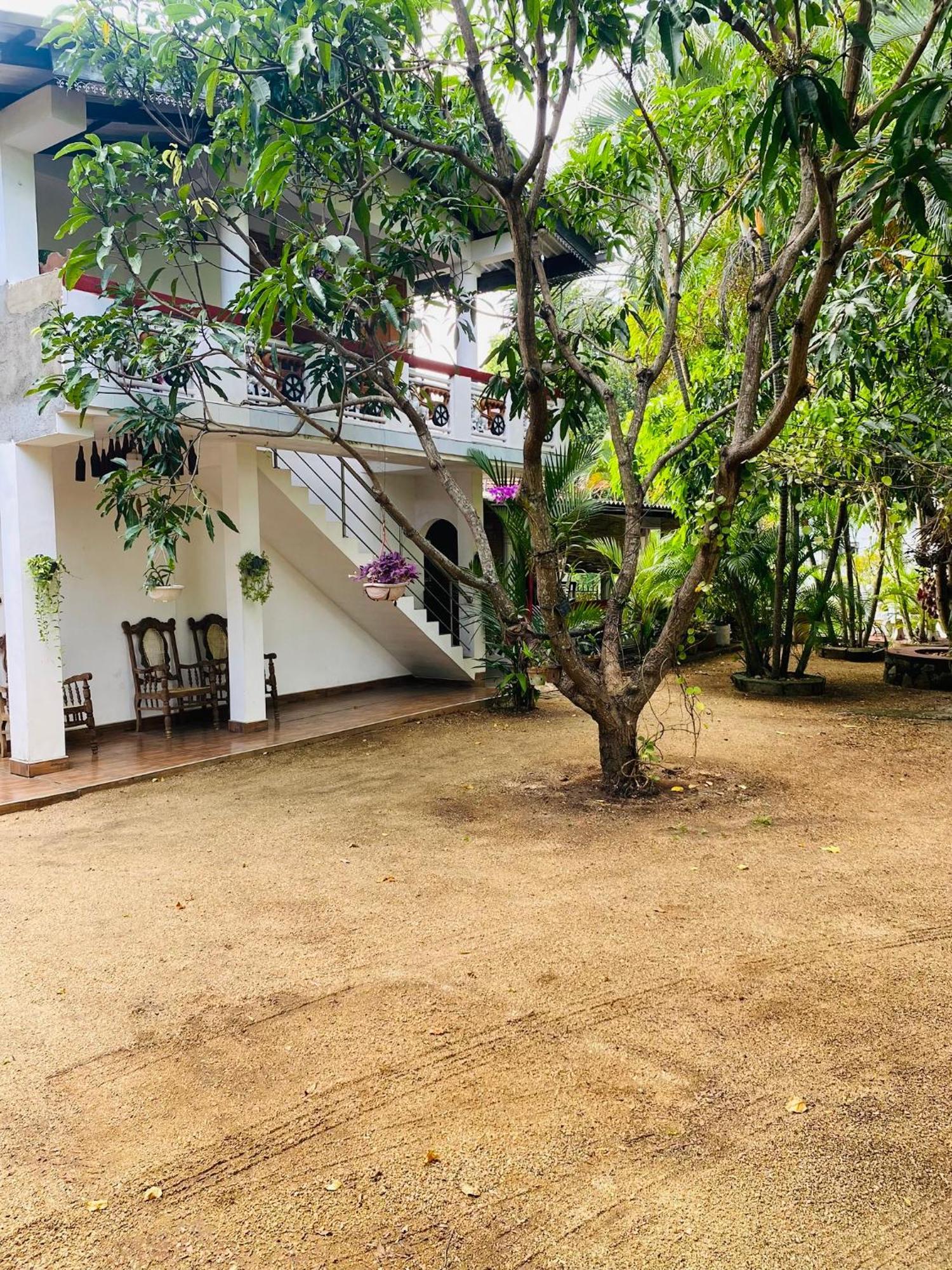 The Green Garden Dambulla Exteriér fotografie