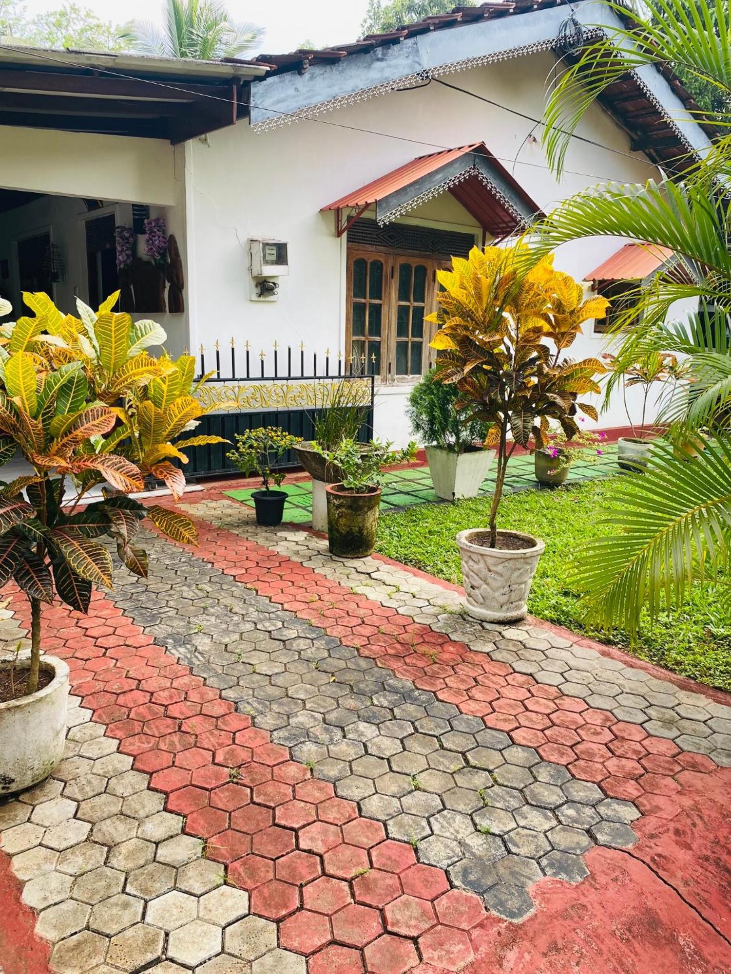 The Green Garden Dambulla Exteriér fotografie