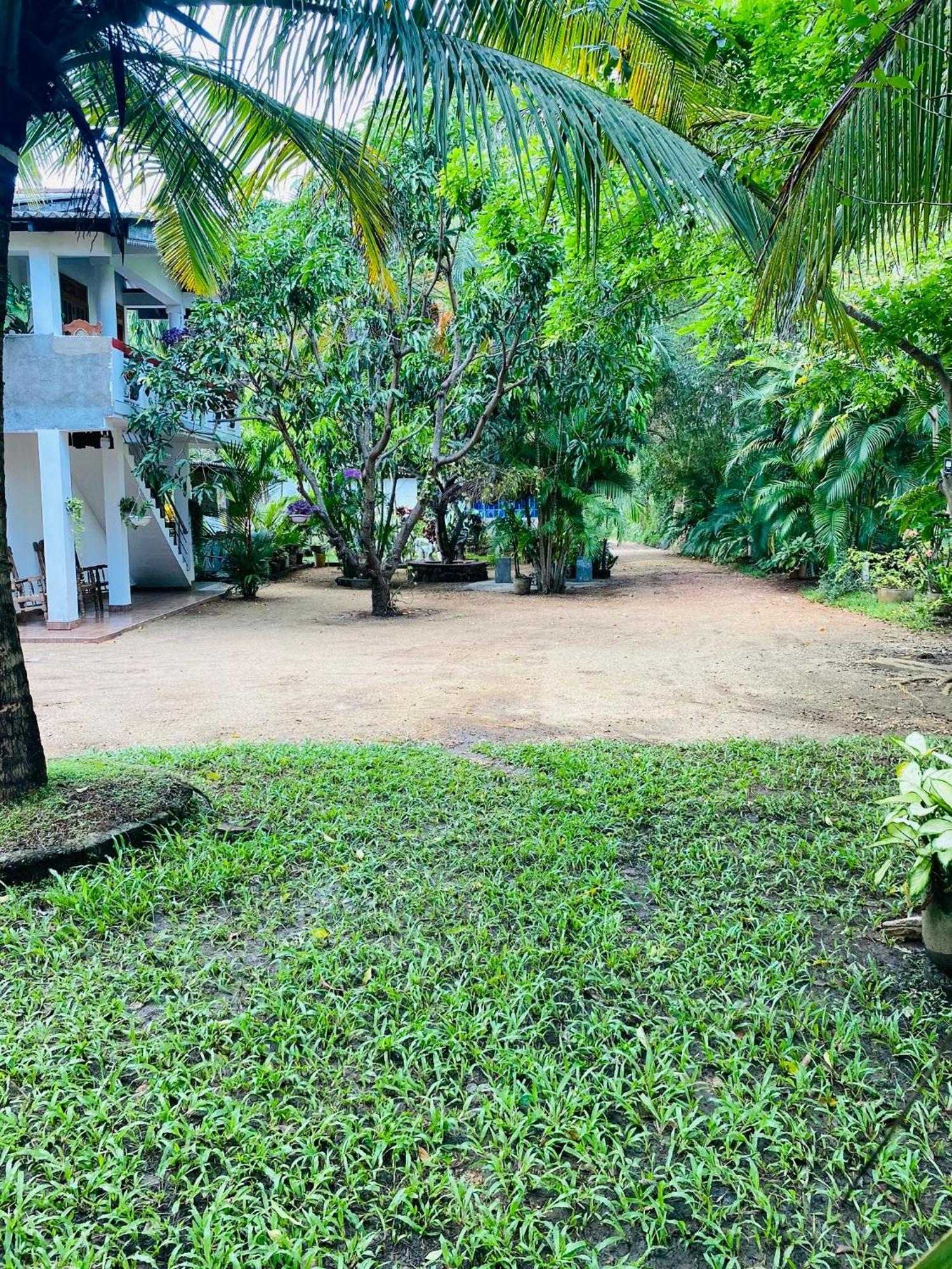 The Green Garden Dambulla Exteriér fotografie